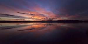 IMG_0550.jpg