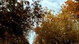 CHERRY_Hdi_01.jpg