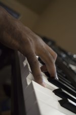 Piano Hand-1.jpg
