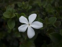 _1230349.jpg
