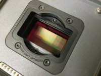 RED_Scarlet_Dragon_IMG_4404.jpg