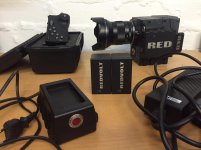 Red scarlet 1.jpg