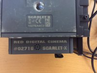 Red scarlet 2.jpg
