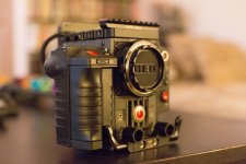Scarlet-2-sm.jpg