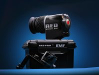 evf.jpg