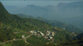 Tea Plantations_1.1.6.jpg