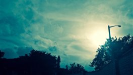 IMG_7324.jpg