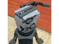 cartoni focus head.jpg