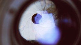 Iris lite.jpg