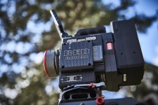 RED_RAVEN_318a.jpg