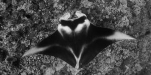 M003_C028_03160K.0004274_720h.jpg