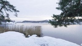 A013_C002_1113Z8.0000000.jpg