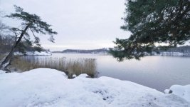 A013_C001_1113NQ.0000000.jpg