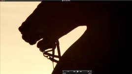 Horse_03.jpg