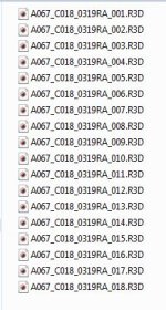 Files within Secondary Files.JPG