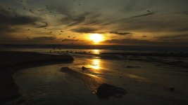 Big-Sur-4.jpg