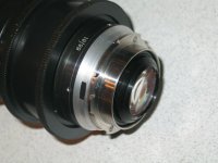 F 50 - rear glass.jpg
