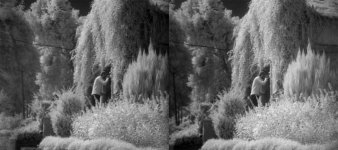 LashaB&W_R&L_sm.jpg