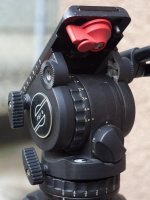 _MG_9109.jpg