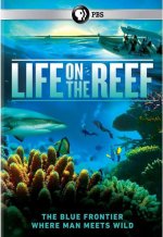 Life on the Reef.jpg