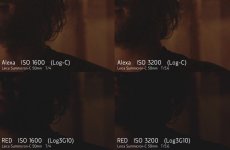 alexavred8.jpg