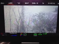 IMG_0785.JPG