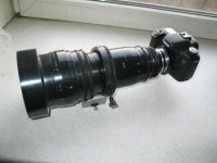 Zoom with Canon 7D.jpg