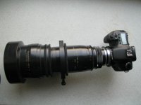 Zoom with Canon 7D - 2.jpg