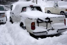 T buried.jpg