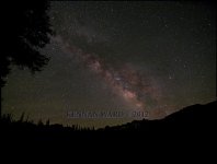 TL 20June2012.Still01.jpg