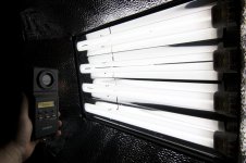 Osram Dulux L 954.jpg
