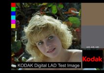 DLad_LogLin.jpg