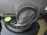 IMG_1877.jpg