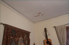 lowel pro-light @ 32k.jpg