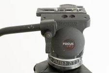 cartoni-8.jpg