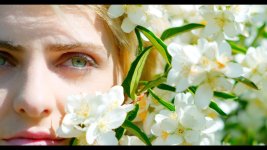 Reine flowers_1.12.2.jpg