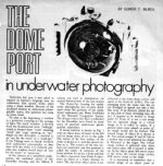 dome port article.jpg