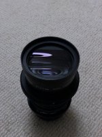 IMG_2911.jpg