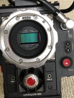 IMG_2932.jpg