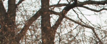 rf-crop-A091_C001_102590.0000467.jpg