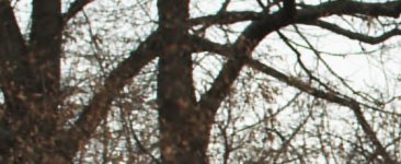 ww-crop-A091_C007_10255U.000000.jpg