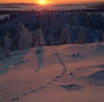 Pääjärvi1.jpg