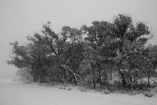 IMG_6310.jpg