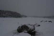 IMG_6407.jpg