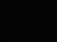 IMG_2494.jpg