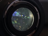 35mm Back View (flashlight from the front).jpg