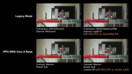 RED_Alexa_LUT_Example_01.jpg