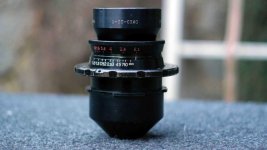 22 mm lateral.jpg