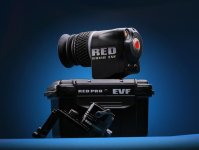 evf.jpg