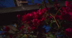 Image 4-1-18 at 8.18 PM.jpg